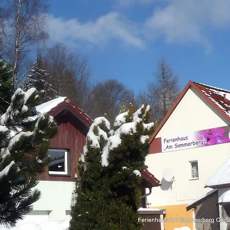Prázdninový dům Am Sommerberg *