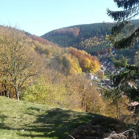 Am Sommerberg